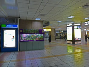 台湾561.jpg