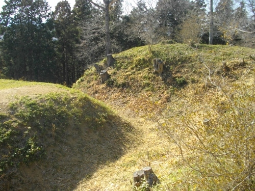 杉山城本丸空堀 (500x375).jpg