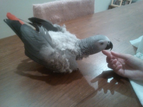 5 隠れた一面.JPG