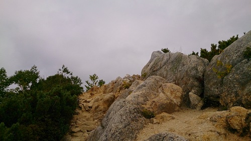 DSC_0821.jpg