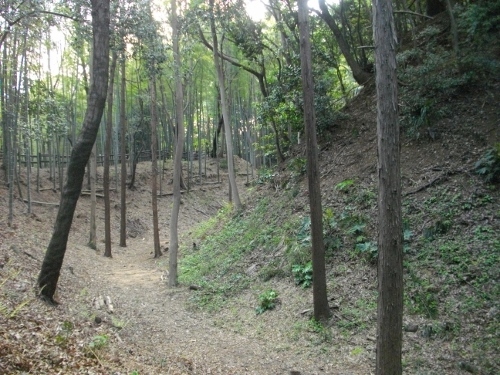 小机城二の丸空堀 (2) (500x375).jpg