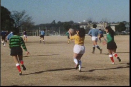 PDVD_008.jpg