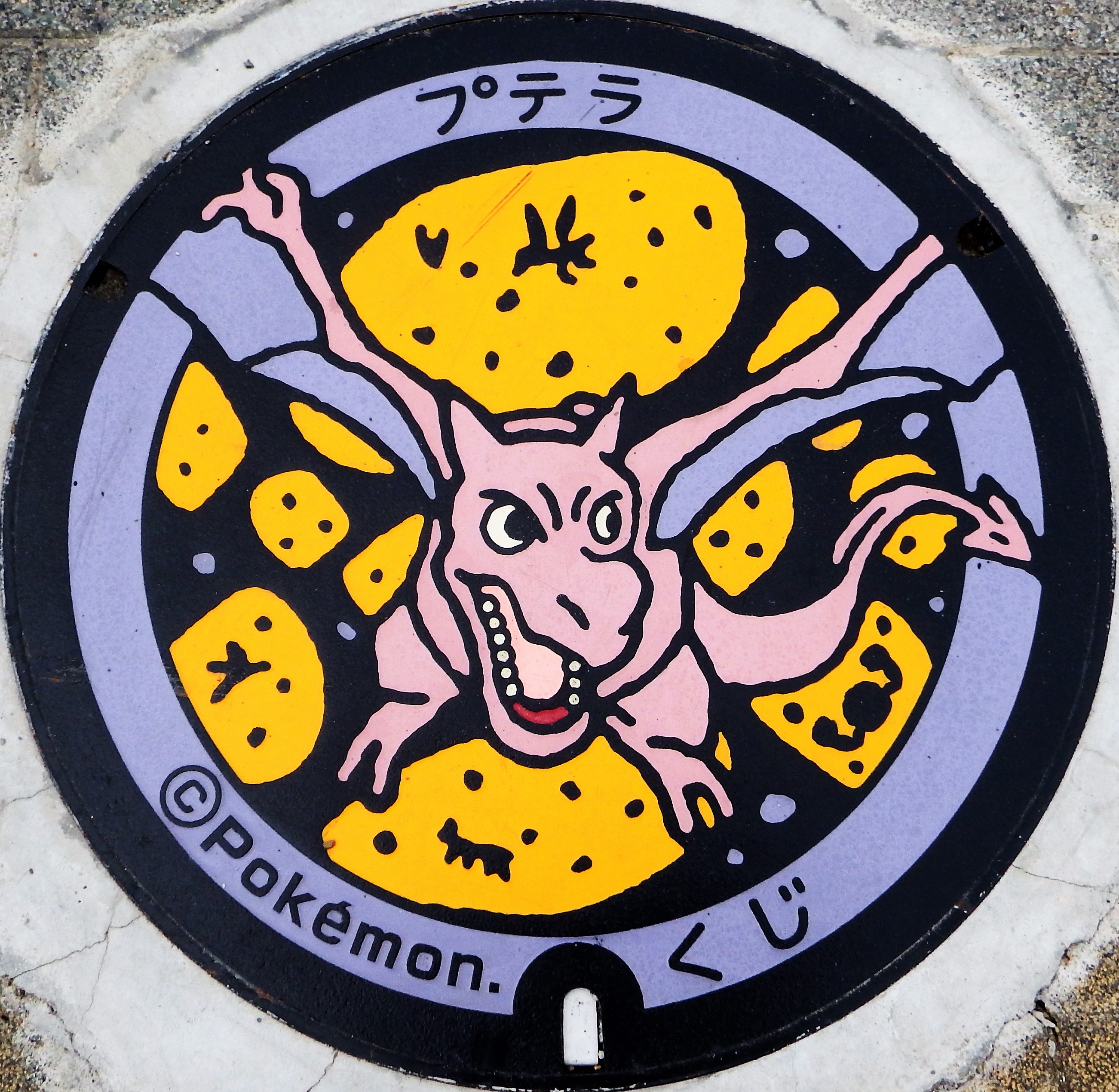 県北 普代村 野田村 久慈市 洋野町 ポケモンマンホール イーハトーブログ 楽天ブログ