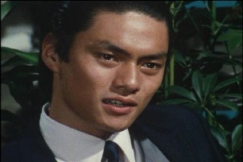 PDVD_016.jpg