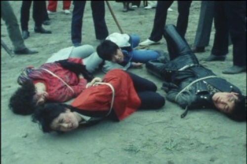PDVD_011.jpg