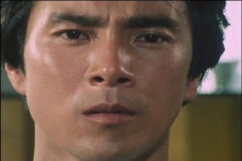 PDVD_026.jpg