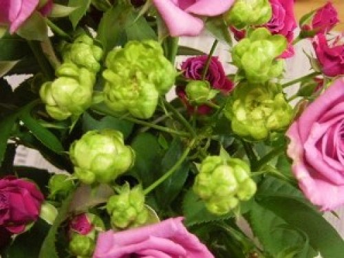 DSCN3127 (300x225).jpg