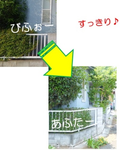 20130527_4.jpg