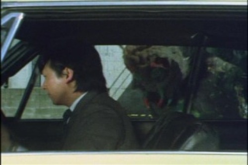 PDVD_004.jpg