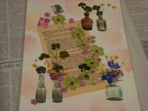 DSCN5830 (300x225).jpg