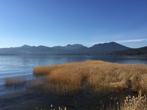 IMG_8233 (640x477).jpg