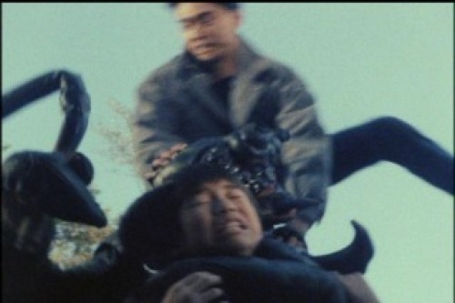 PDVD_016.jpg