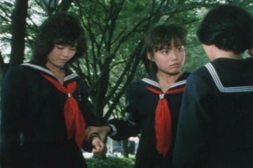 PDVD_009.jpg