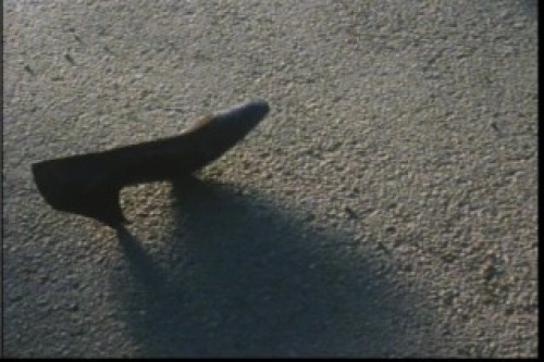 PDVD_067.jpg