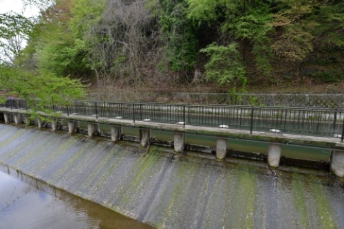 pict-琵琶湖疎水 2.jpg