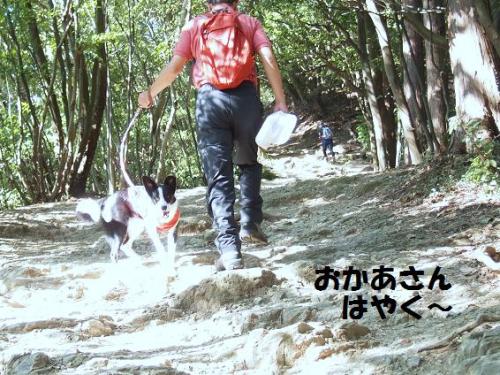 おかあさん 早く.jpg