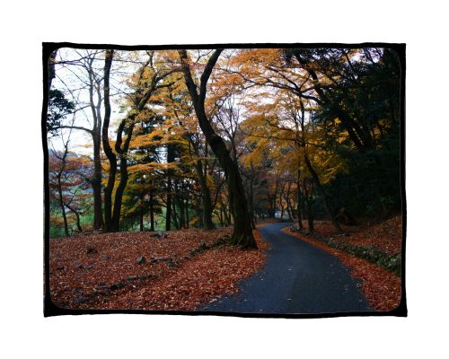 養老公園　紅葉