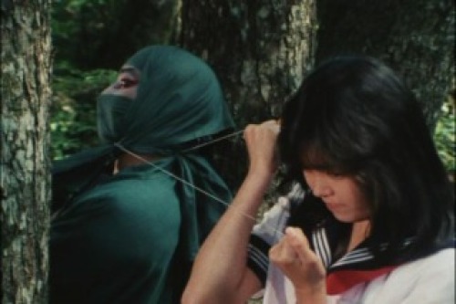 PDVD_042.jpg