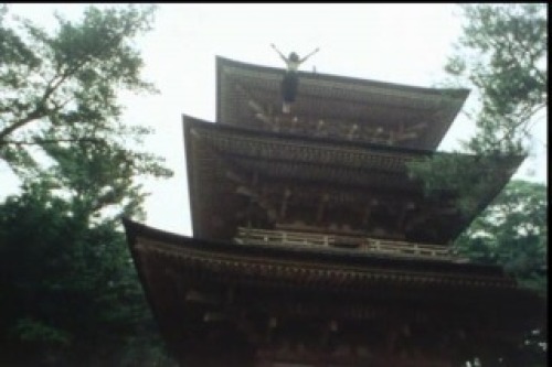 PDVD_018.jpg