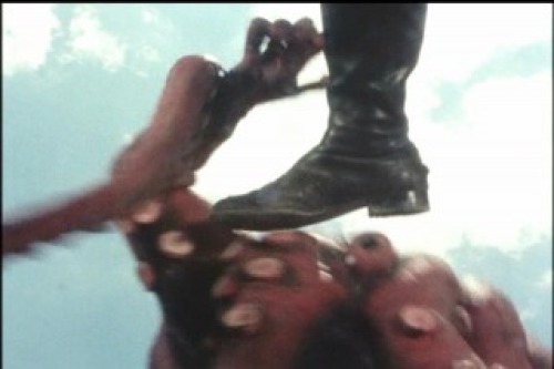 PDVD_087.jpg