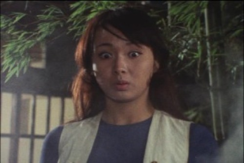 PDVD_077.jpg