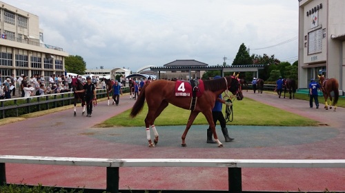 222ページ目の記事一覧 地方競馬の楽天競馬 日替わりライターブログ 楽天ブログ