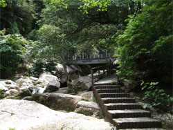 屋久島34.jpg