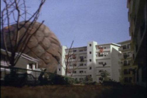PDVD_005.jpg