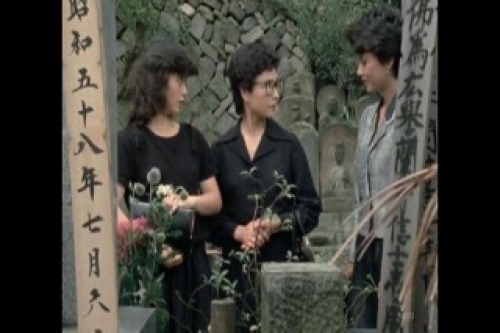 PDVD_009.jpg
