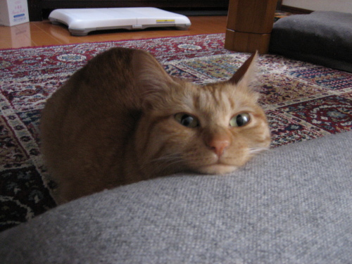 Jan. 15, 2014(3).JPG