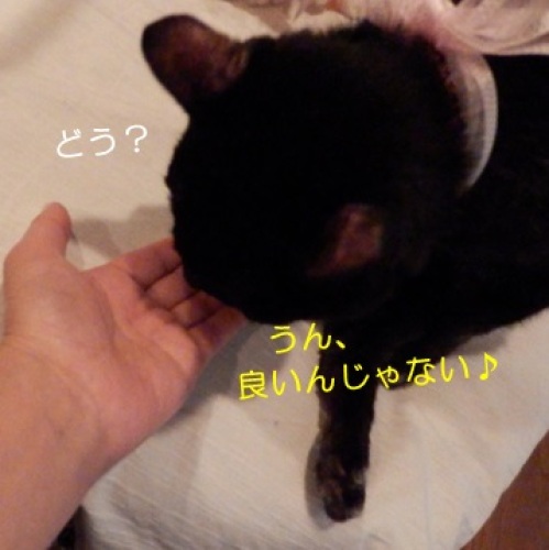 20140927_8.jpg