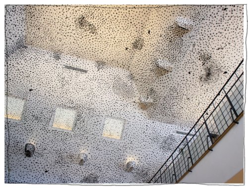 ラ コリーナ　ラコリーナ　近江八幡　たねや　La　Collina