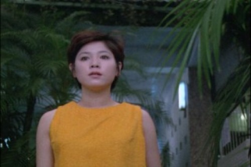 PDVD_021.jpg