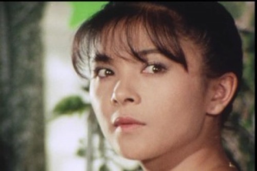 PDVD_010.jpg
