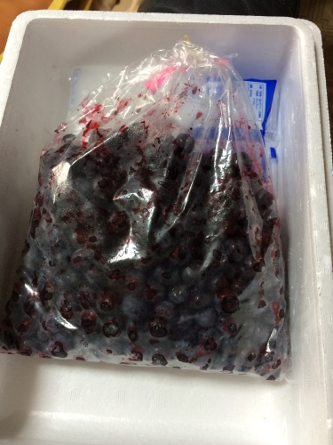 IMG_8730 - コピー.JPG