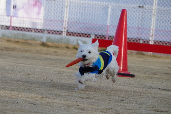 IMGP0247編集.jpg