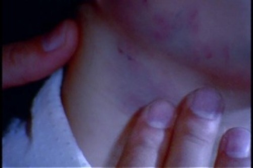 PDVD_011.jpg