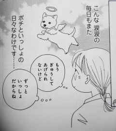 ポチといっしょ.jpg