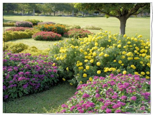 淡路島　国営明石海峡公園