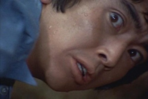 PDVD_011.jpg