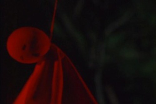 PDVD_011.jpg