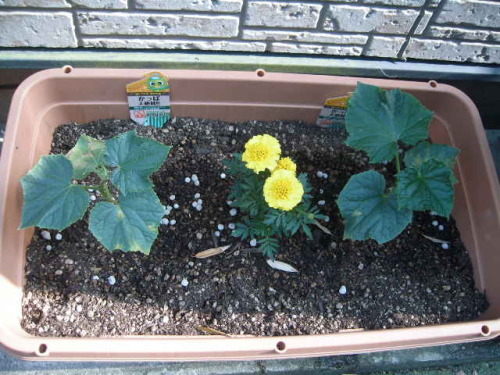 DSCI0058.JPG