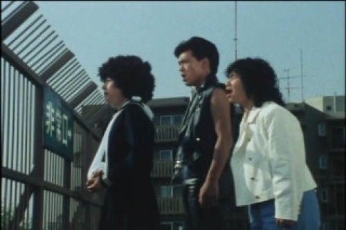 PDVD_042.jpg