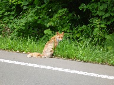 20150624-0629北海道旅行5泊6日68.jpg