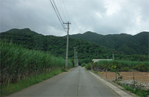 石垣263.jpg