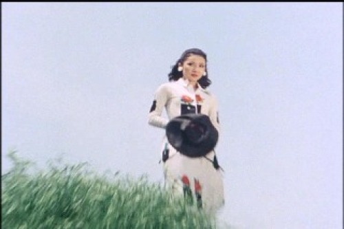 PDVD_011.jpg