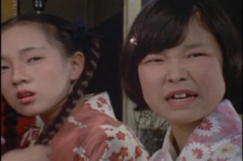 PDVD_004.jpg