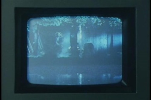 PDVD_018.jpg