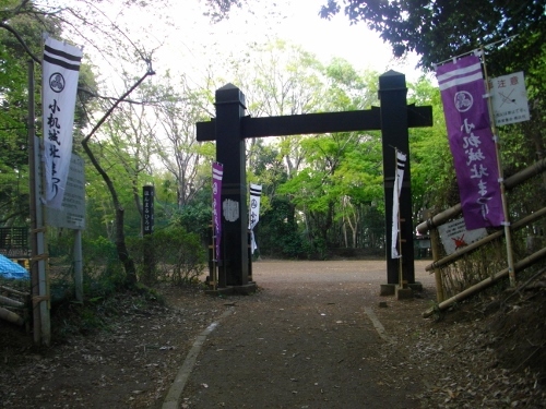 小机城本丸搦め手虎口 (500x375).jpg