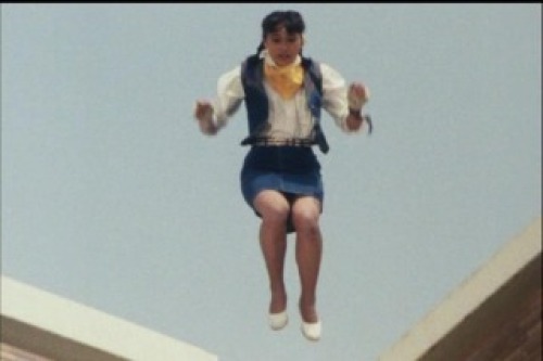 PDVD_016.jpg